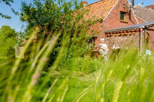Ansicht Garten hinter dem Haus