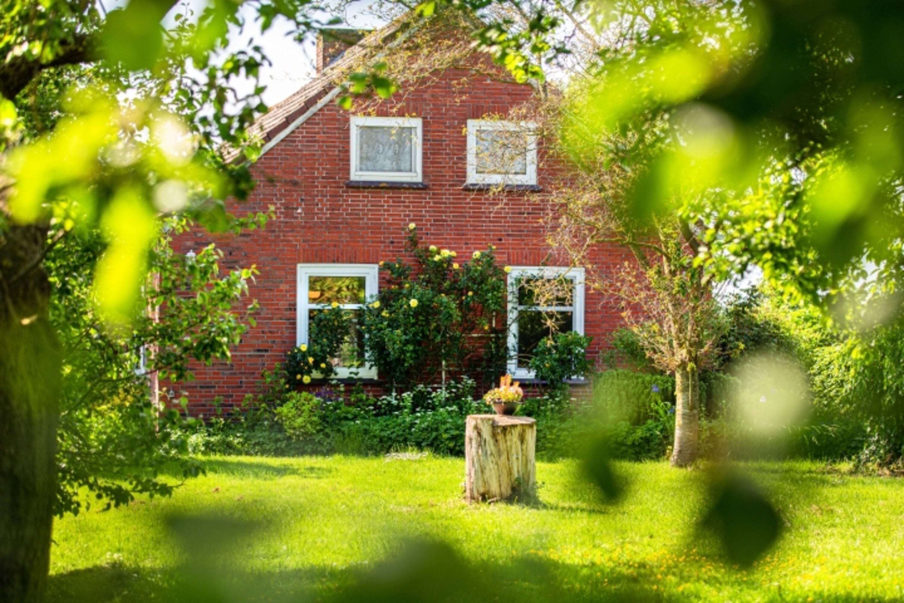 Ansicht Garten vor dem Haus