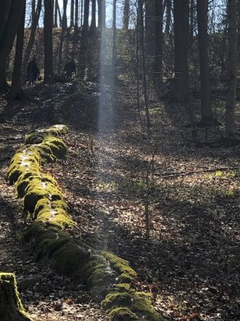 Ausflugsziel zur steinernen Rinne  45 gemütliche Min. zu Fuß