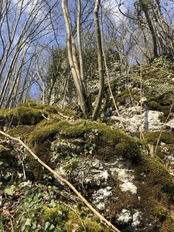 Ausflugsziel die steinernen Bräute