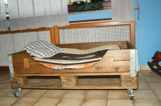 Hundebett im Wohnzimmer