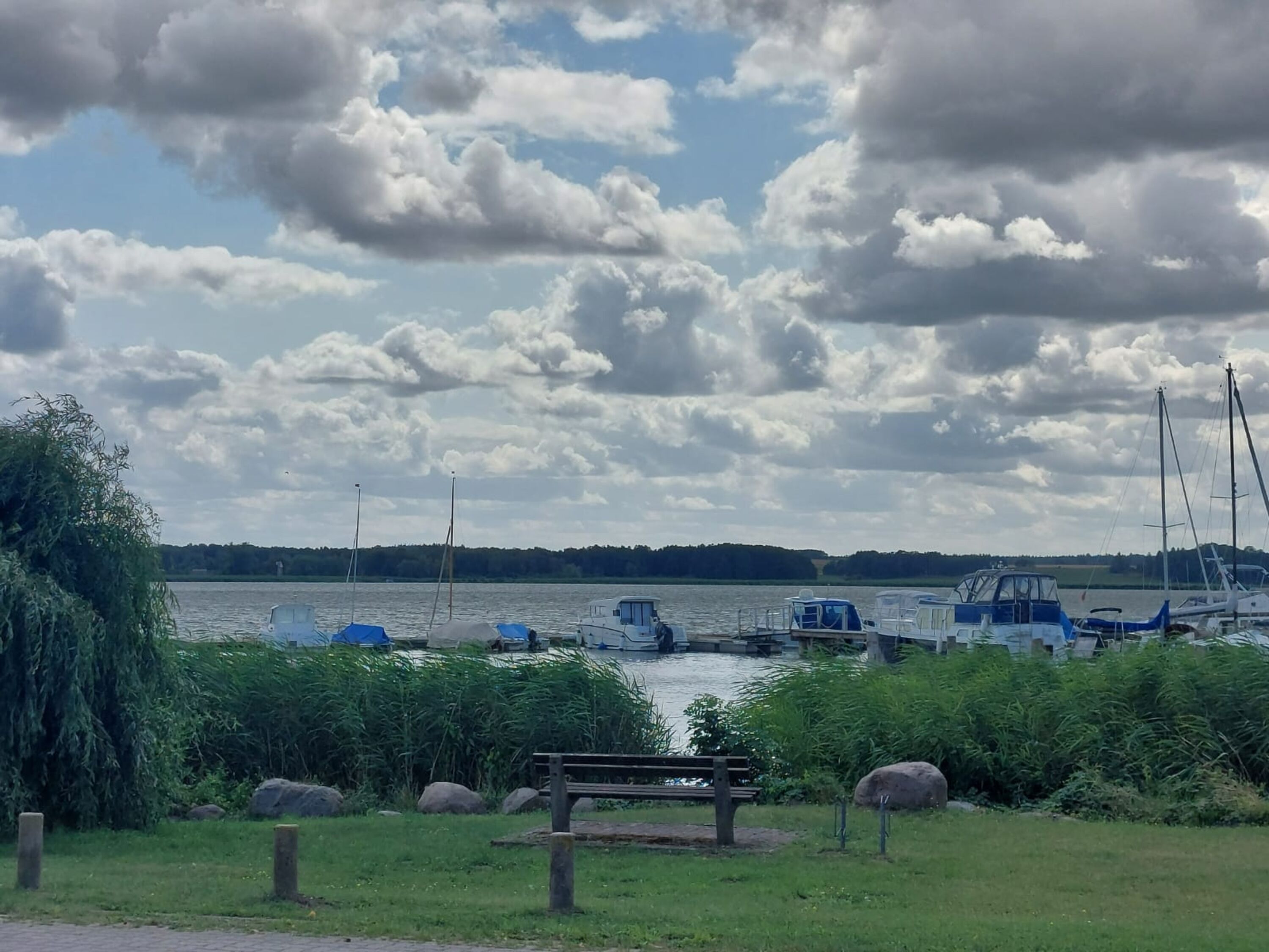 Blick über den Peenestzrom