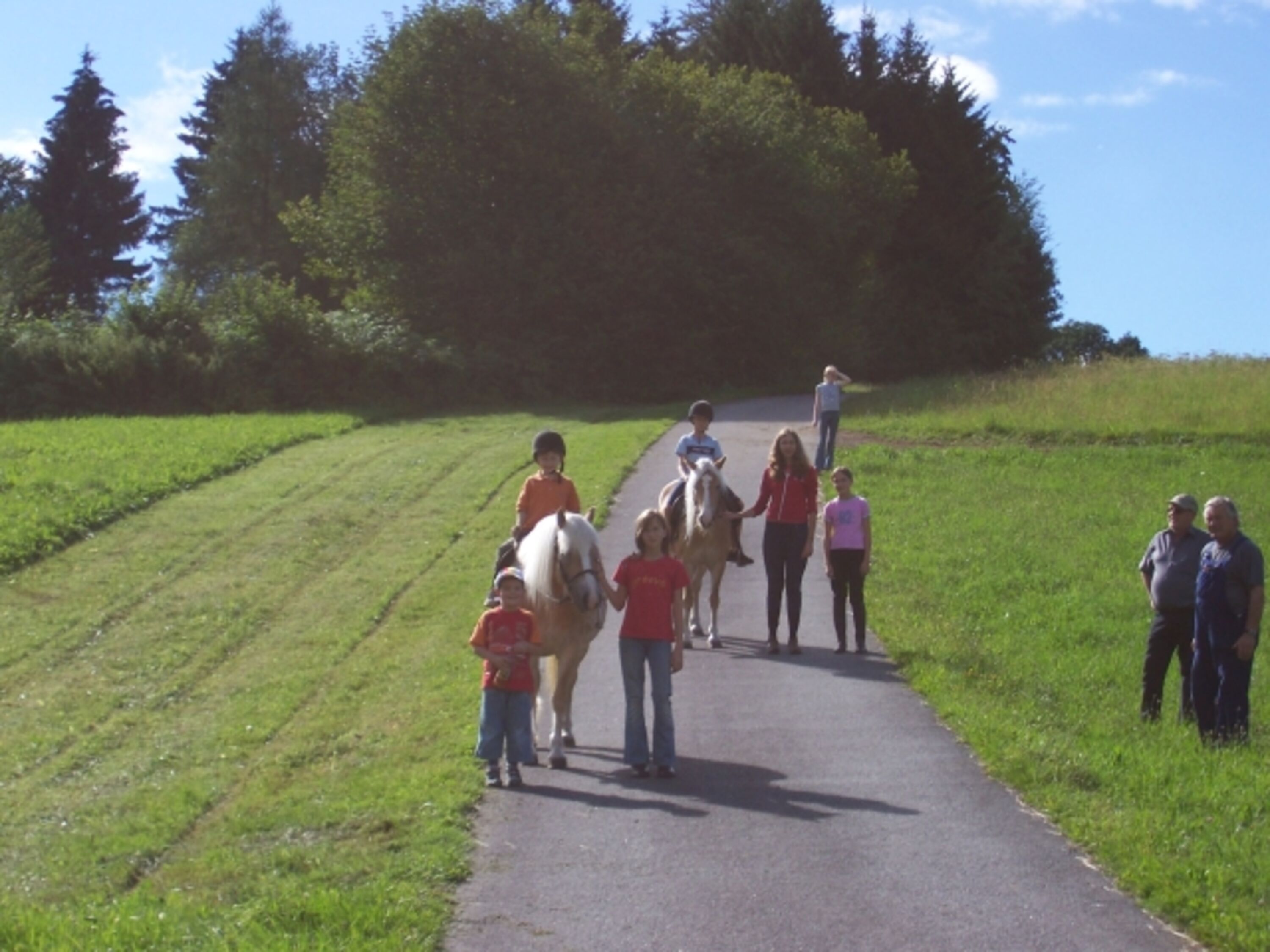 Bild 7