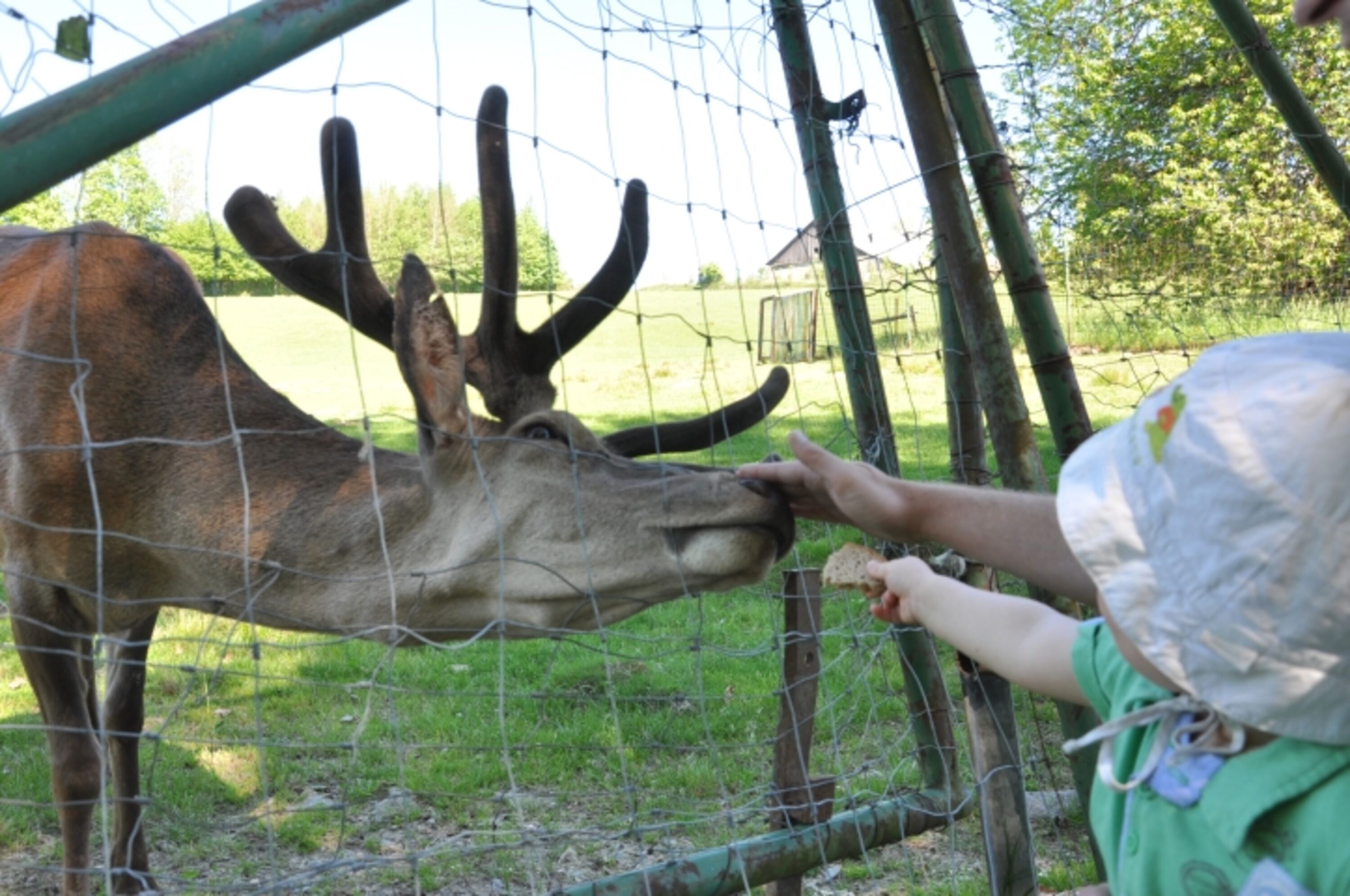 Bild 15