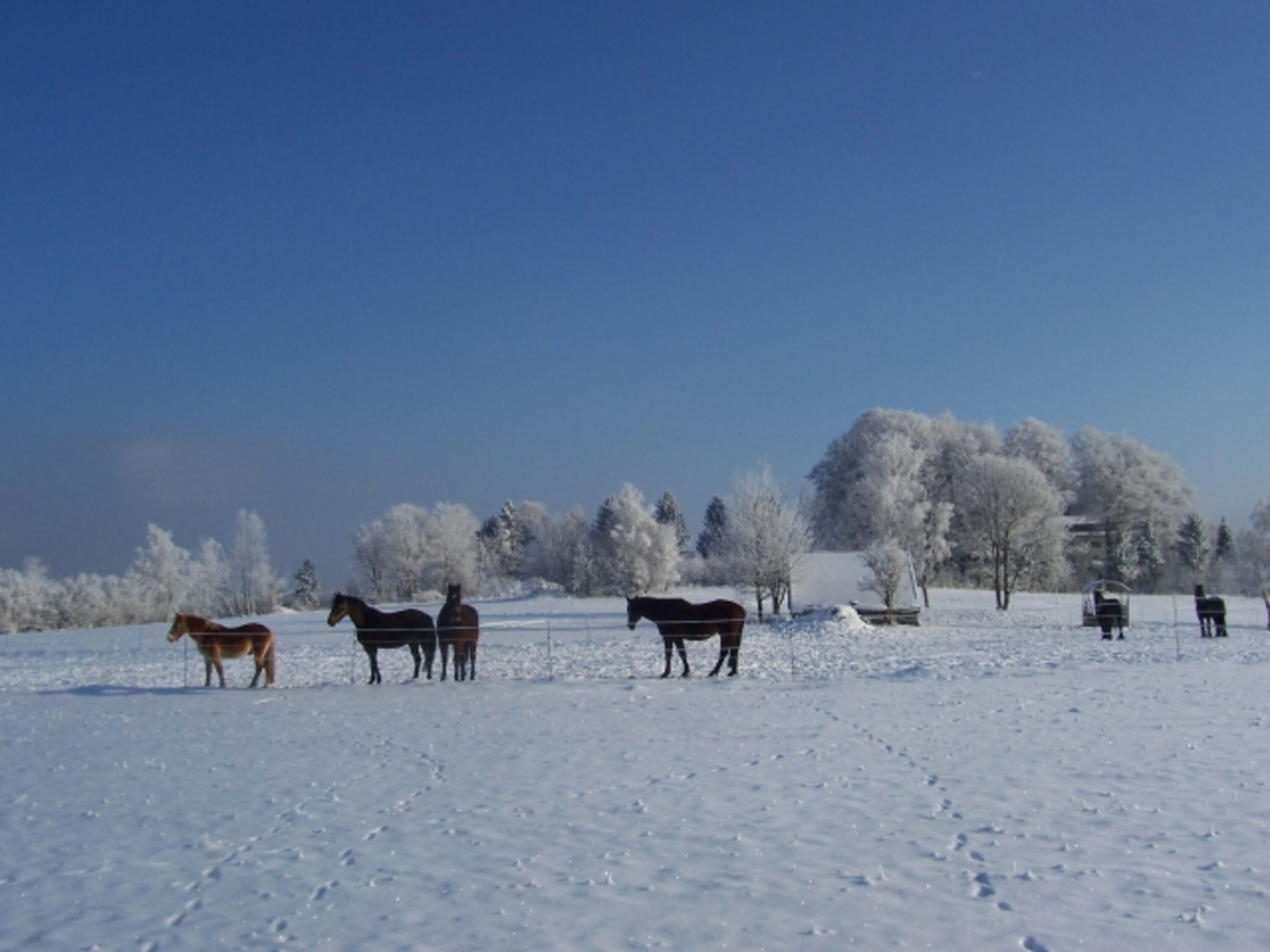 Bild 14