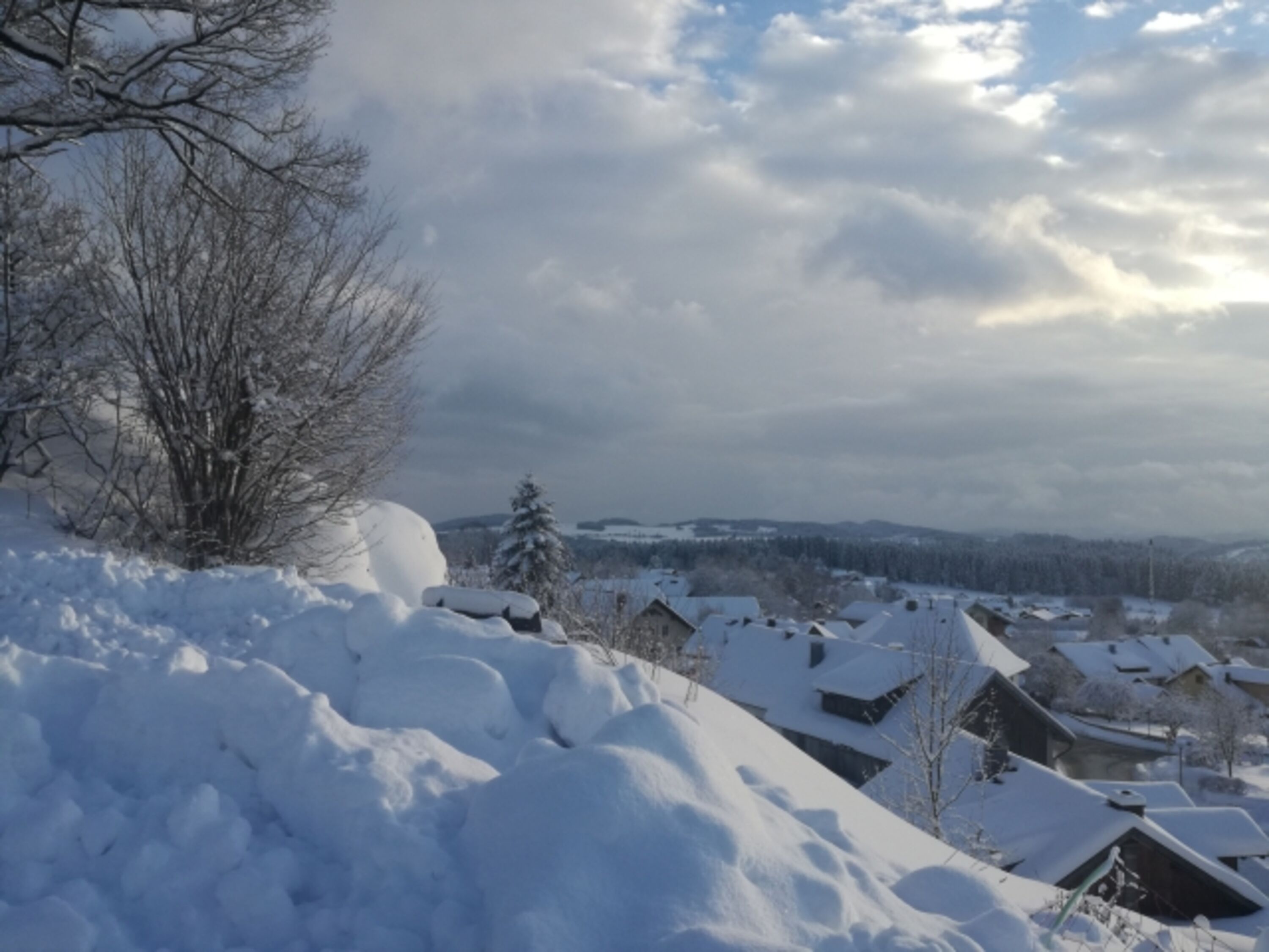 Bild 17