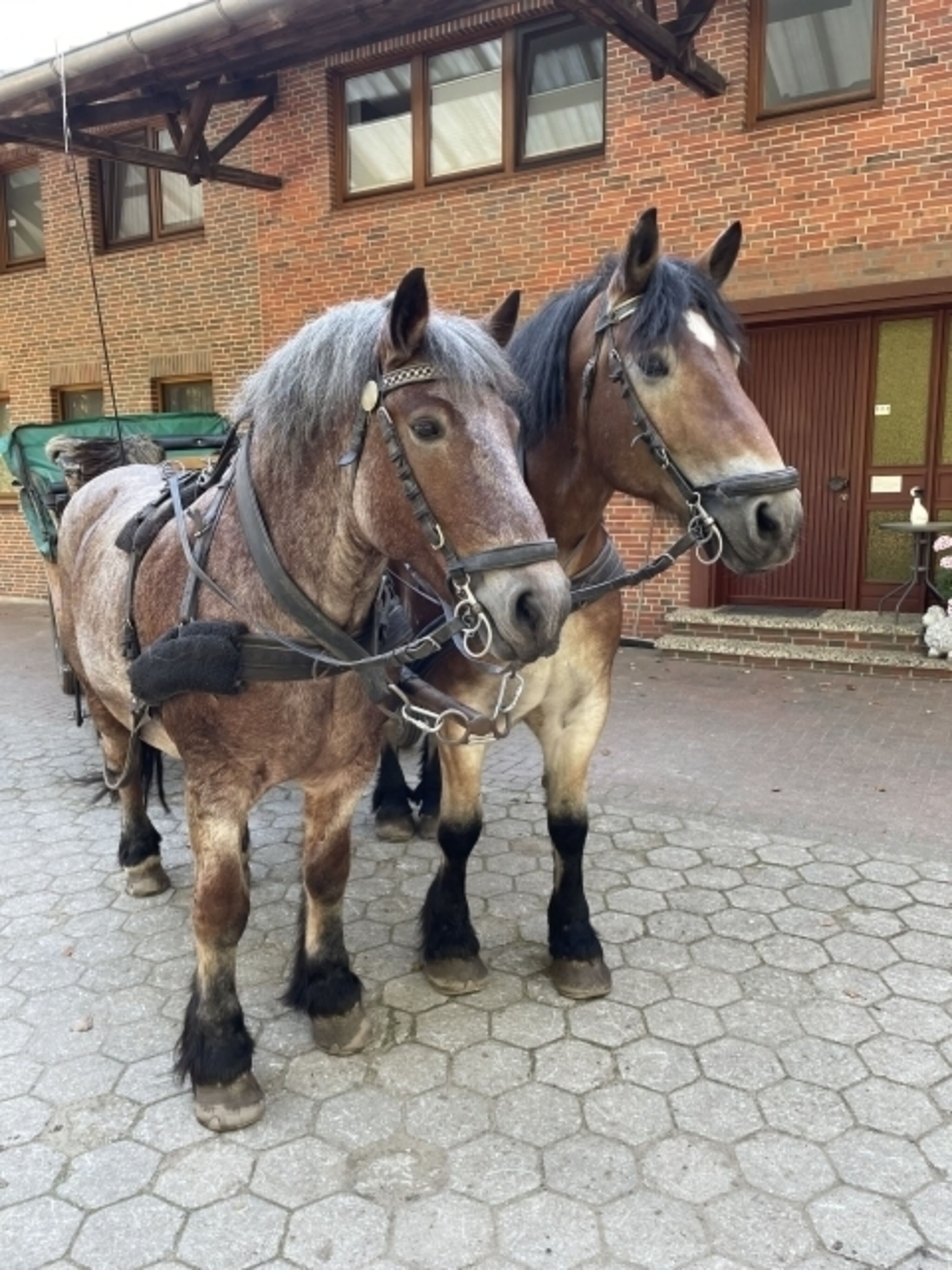 Bild 15