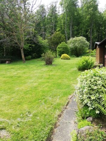 unser gepflegter Garten