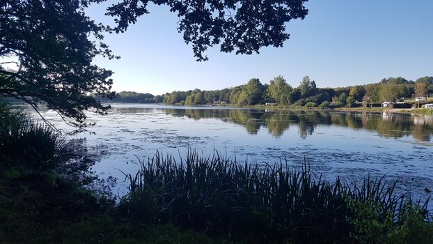 Seeweiher, ca. 5 Minuten Fußweg