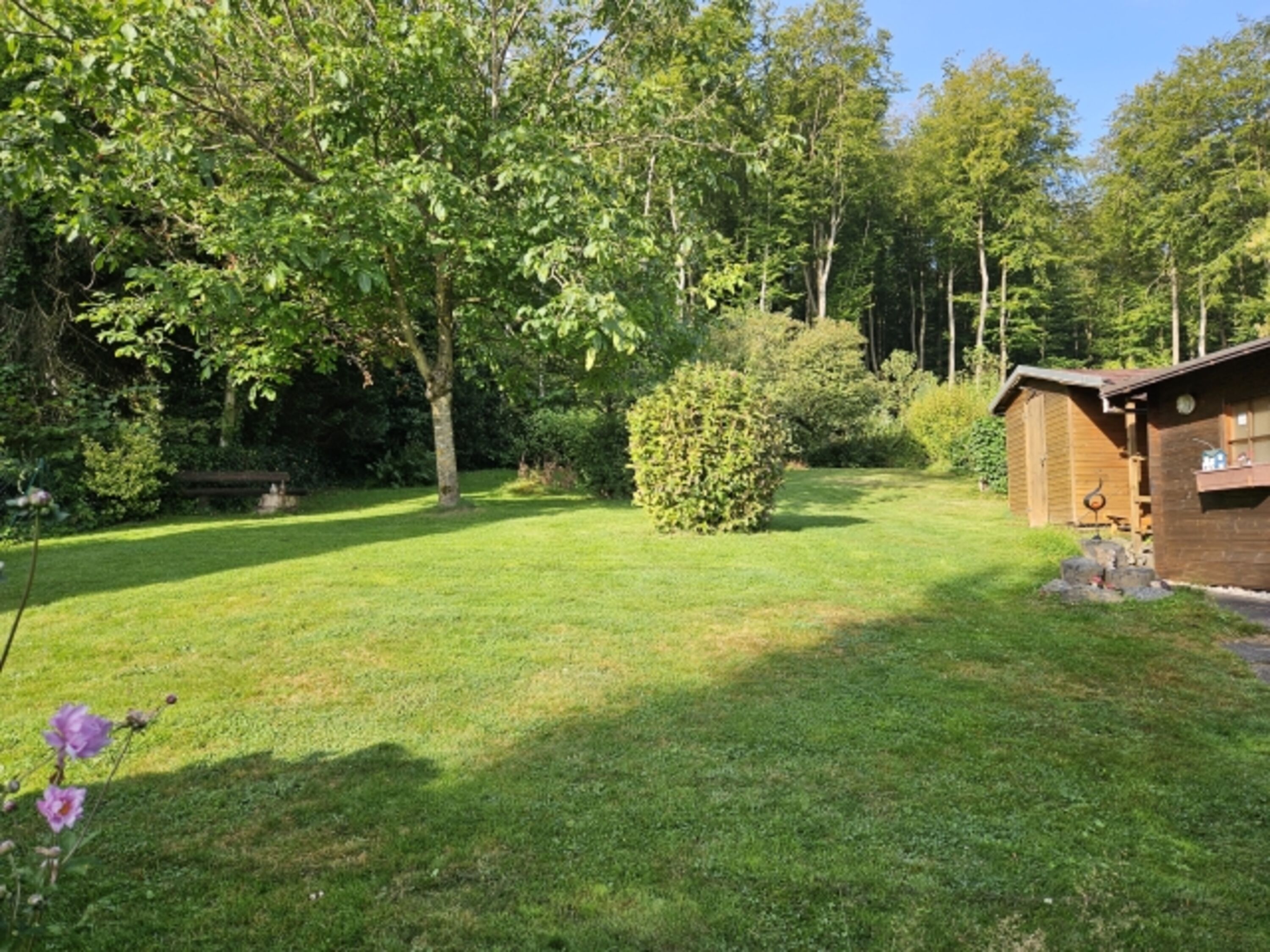Garten und Wald