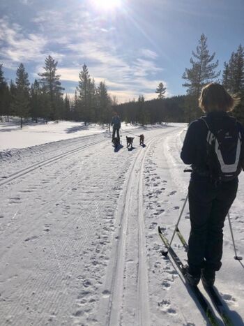  Langlaufloipe ca 500m  entfernt 