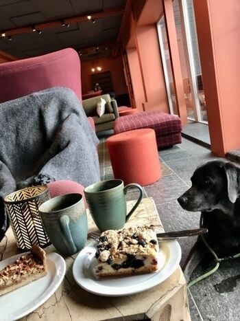 Besuch eines Cafe mit hausgemachtem Kuchen und duftendem Kaffee