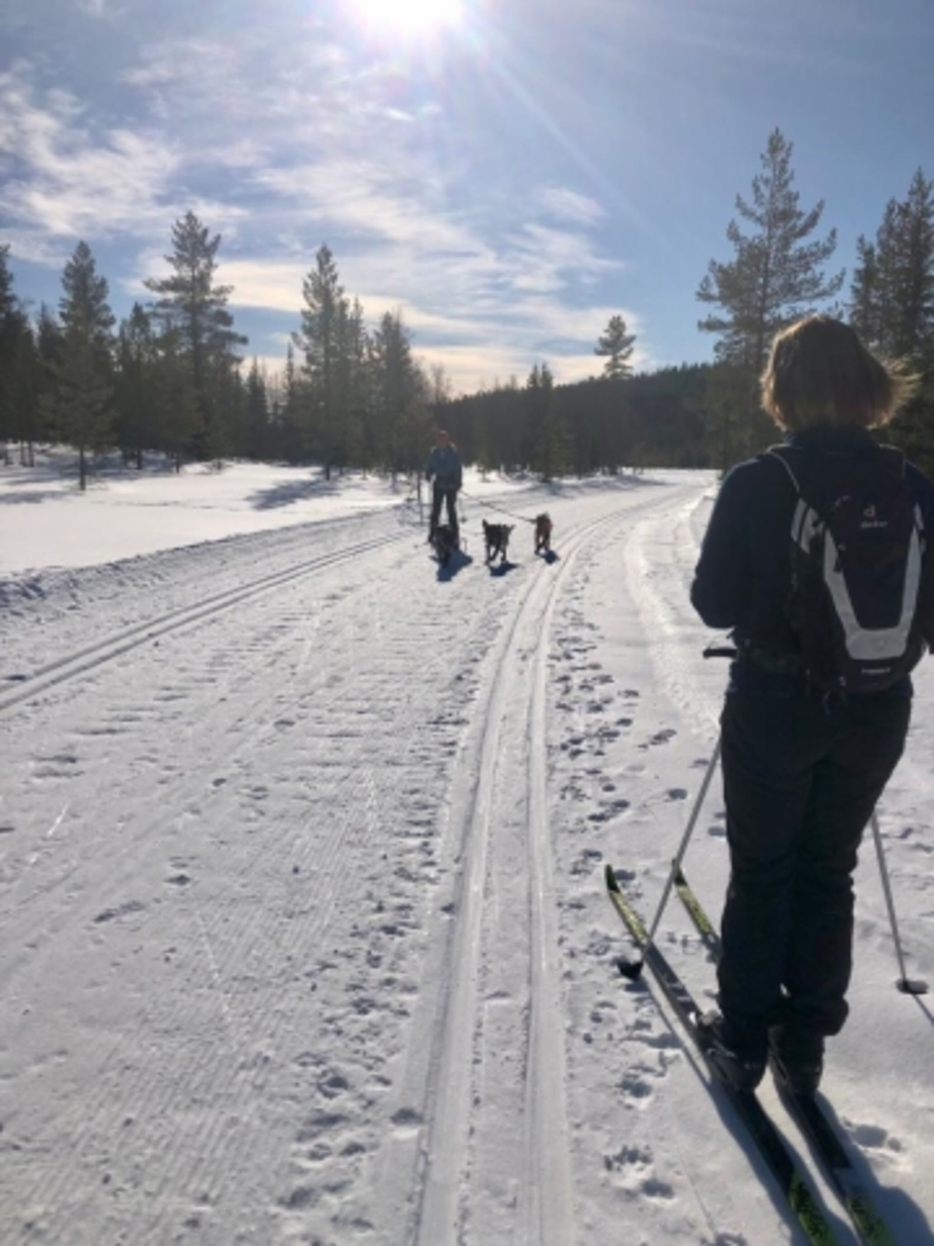  Langlaufloipe ca 500m entfernt 