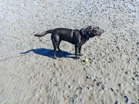 Toben am Strand bei jeder Jahreszeit