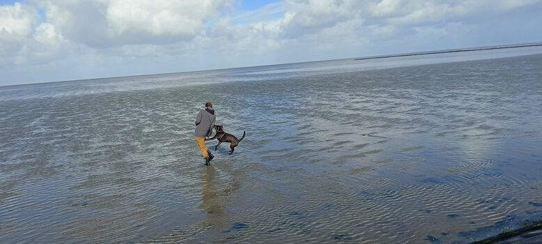 endlose Spaziergänge im Watt
