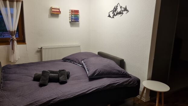 Wohnzimmer mit Schlafsofa