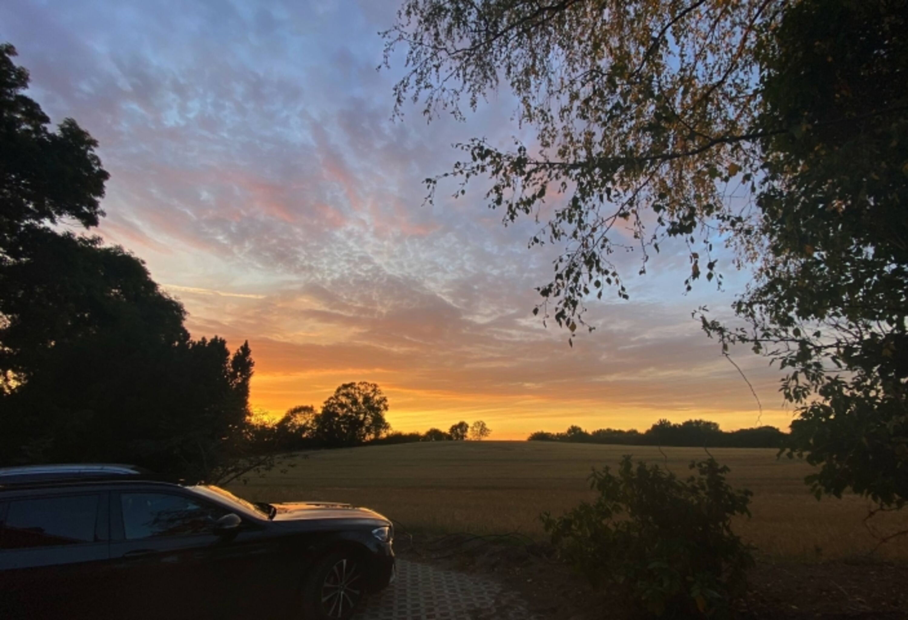 Bild 18