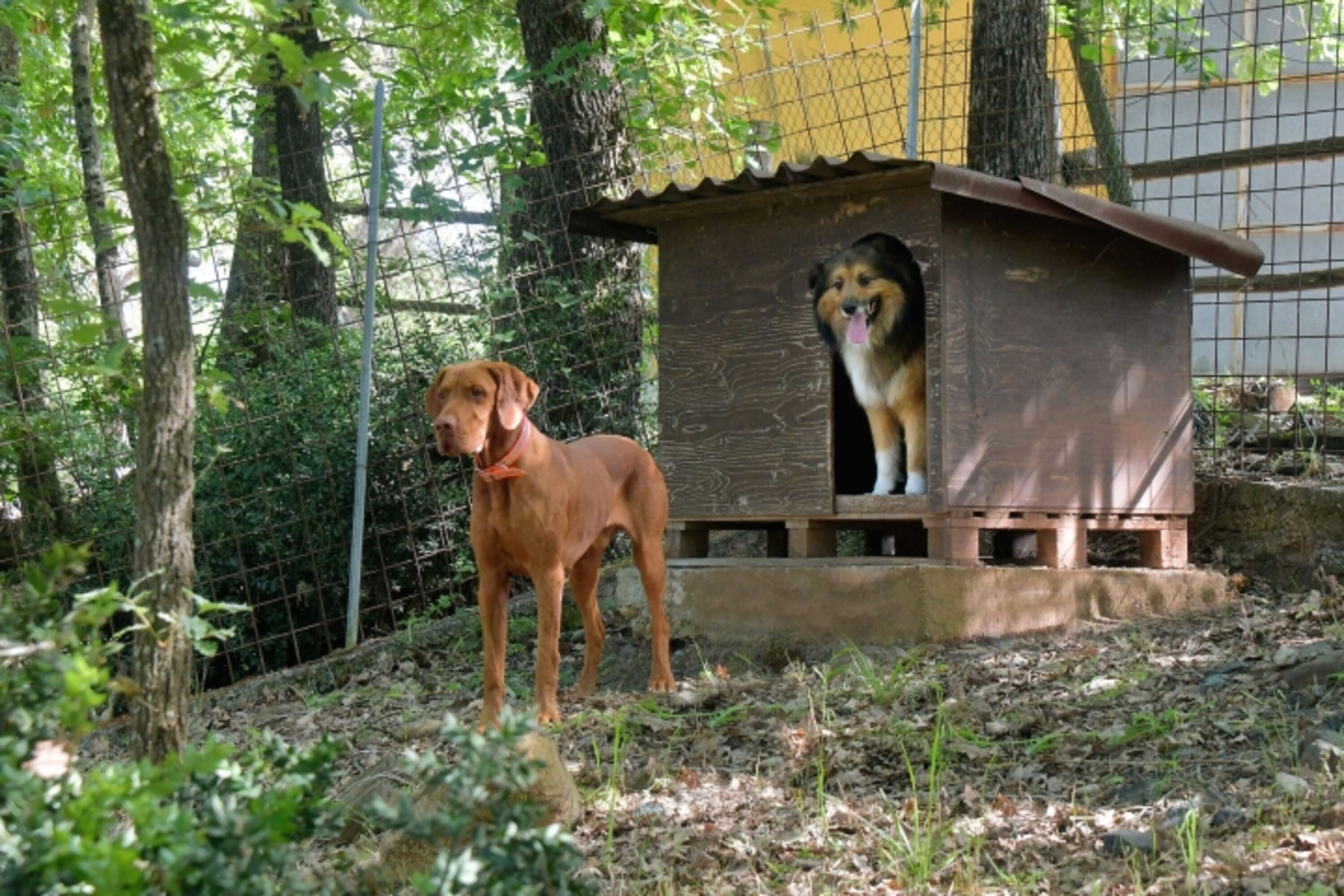Bild 17