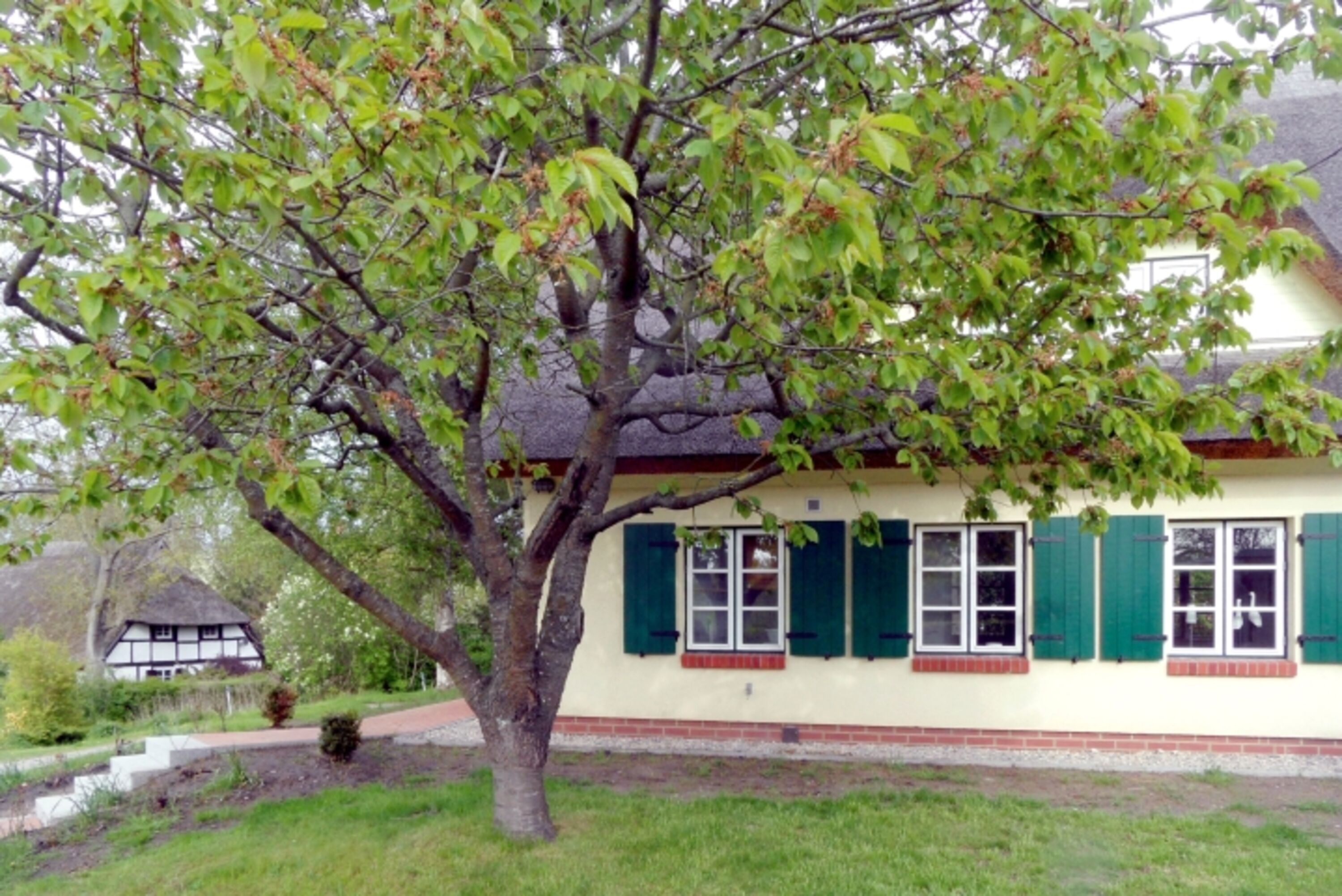 Bild 23