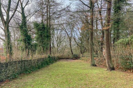Mien Lütten - Uriger Garten mit altem Baumbestand 