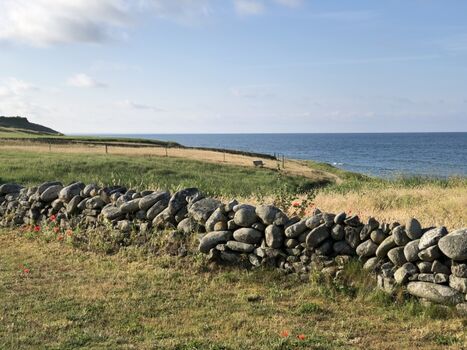 Ausblick vom Garten im Frühling