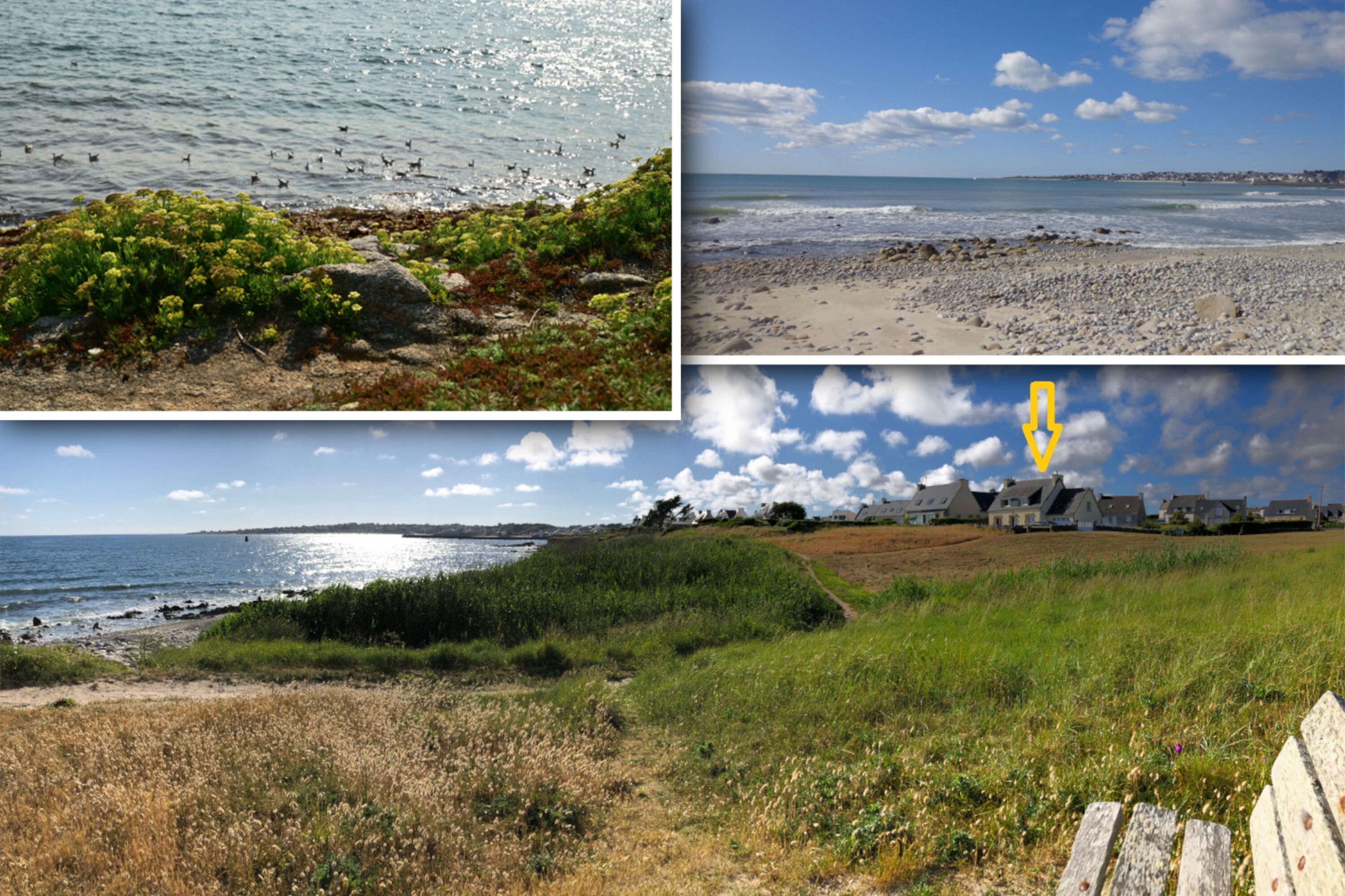 Blick vom Küstenweg zum Haus, und dann runter an den Strand bei Flut