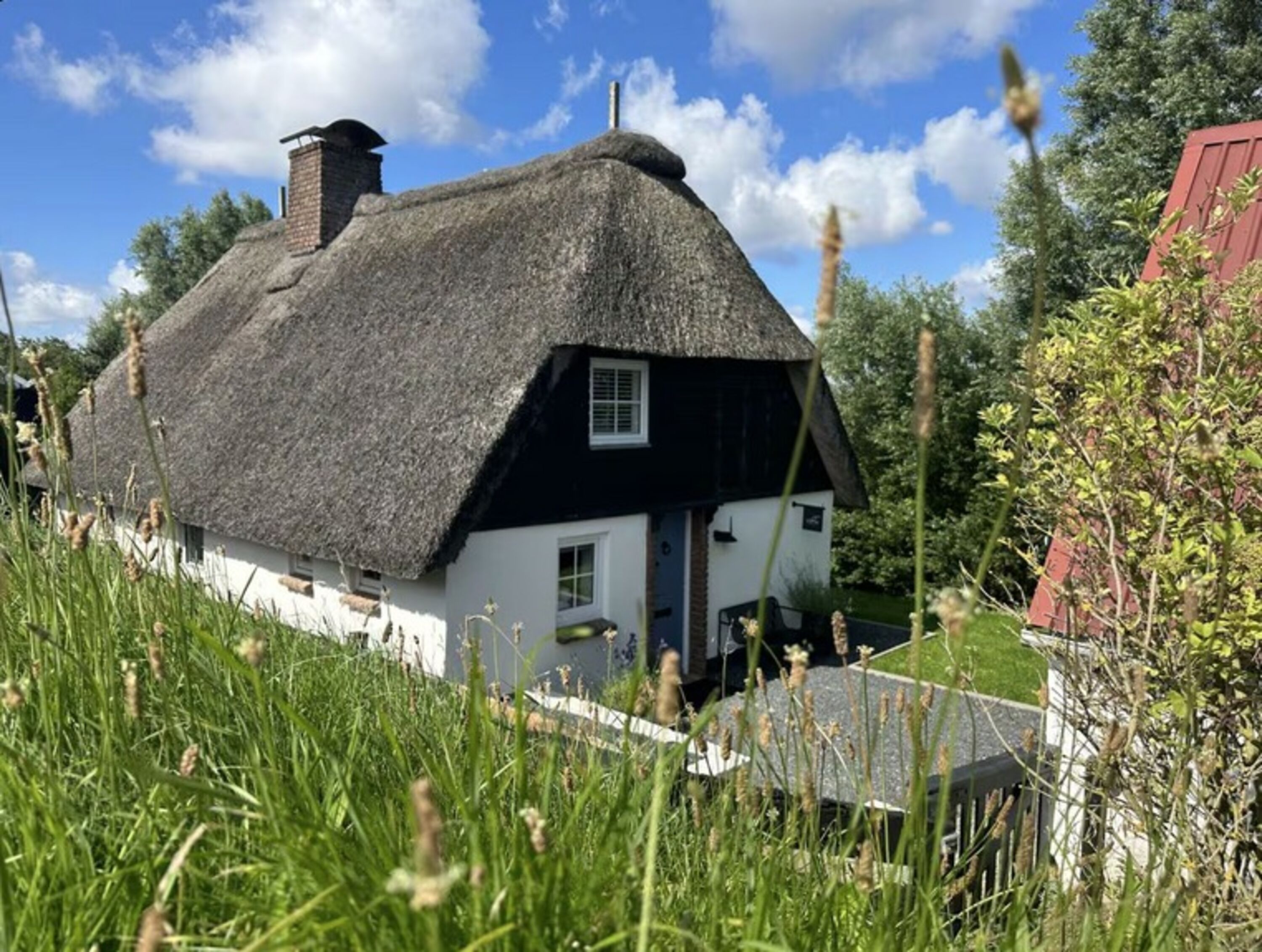 Bild 15