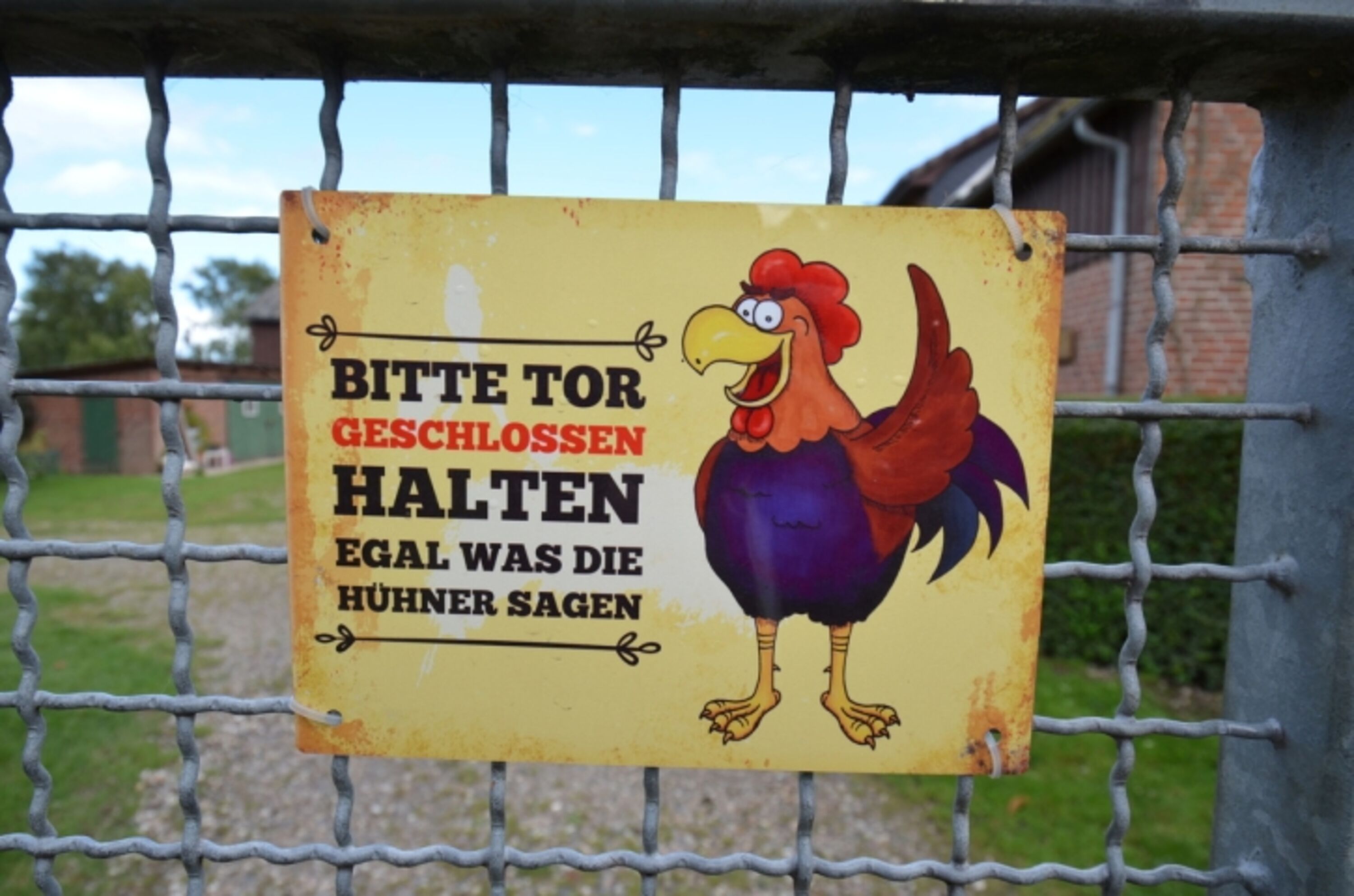 Bild 28