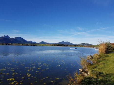 Hopfensee ist gleich in der Nähe