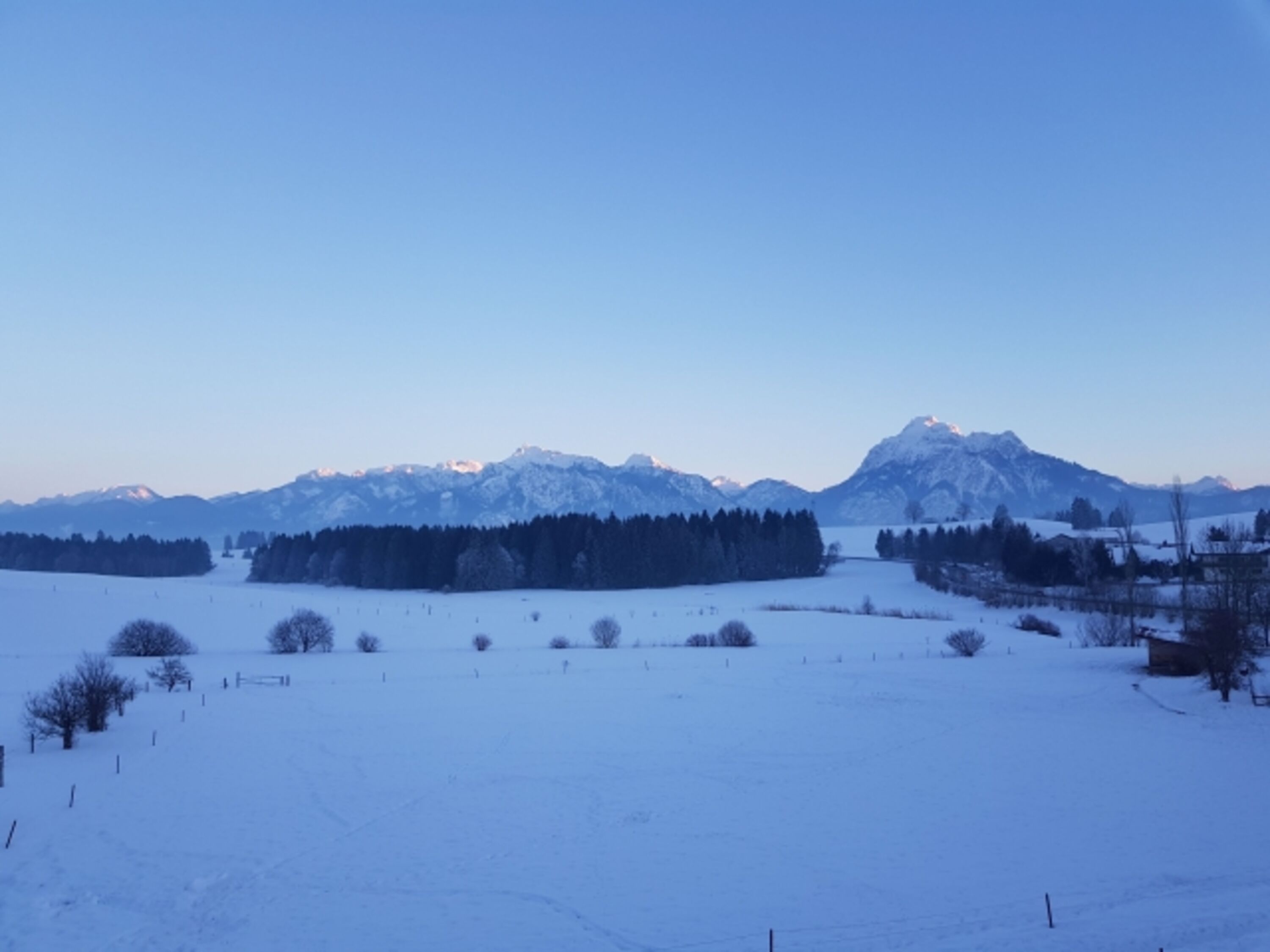 Bild 12