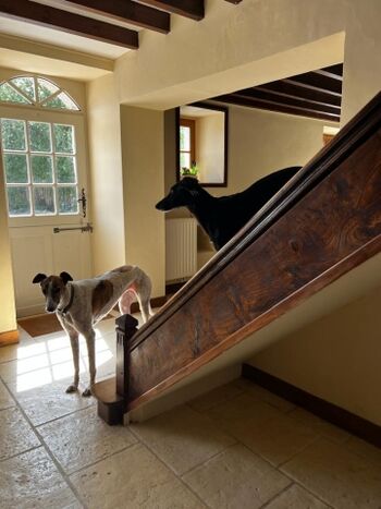 Treppe zu den Schlafzimmern