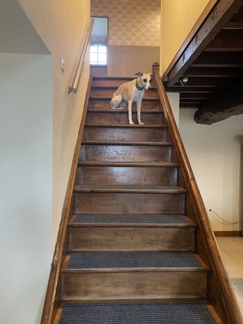 Treppe zu den Schlafzimmern