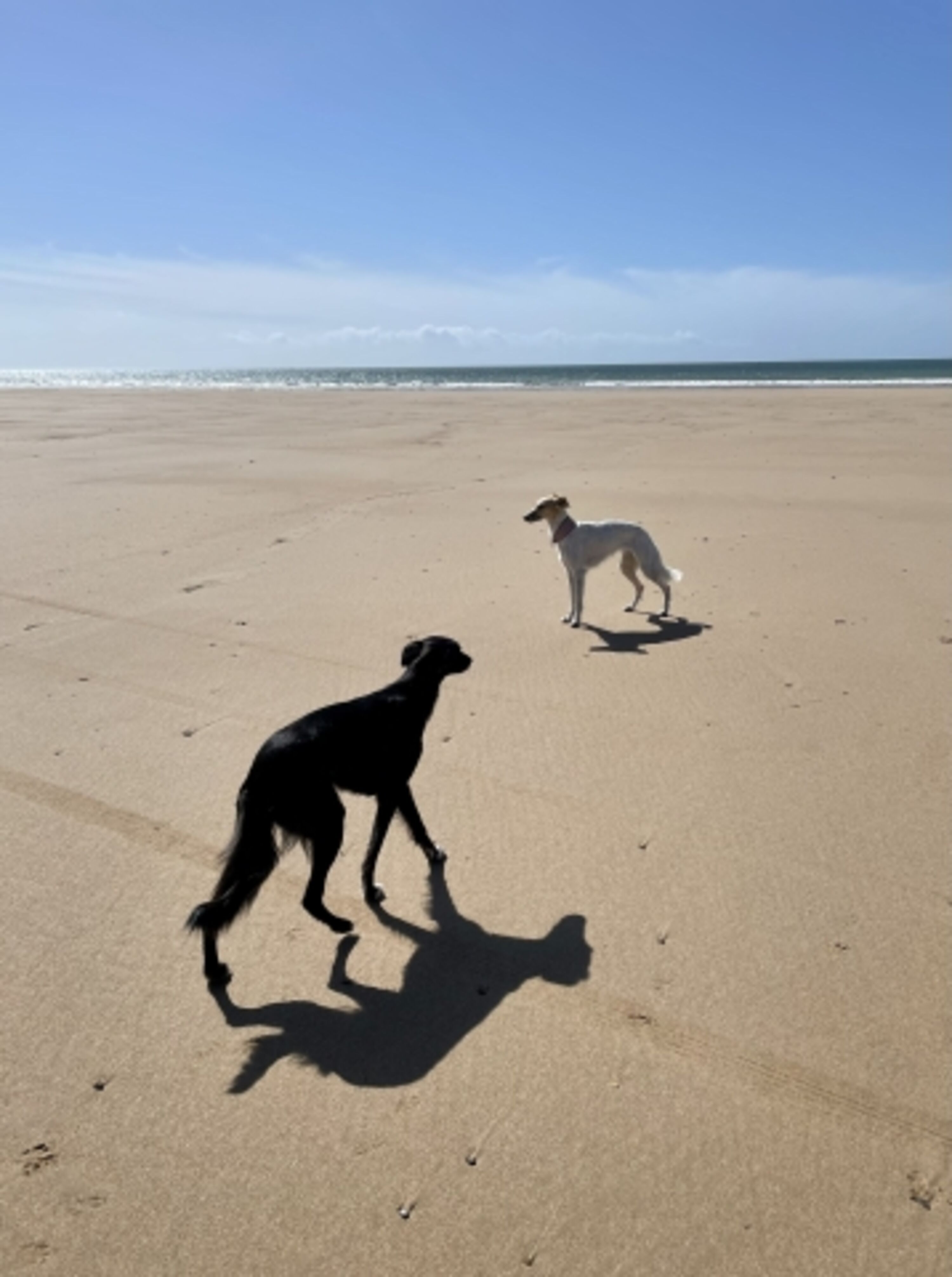Strand von Biville