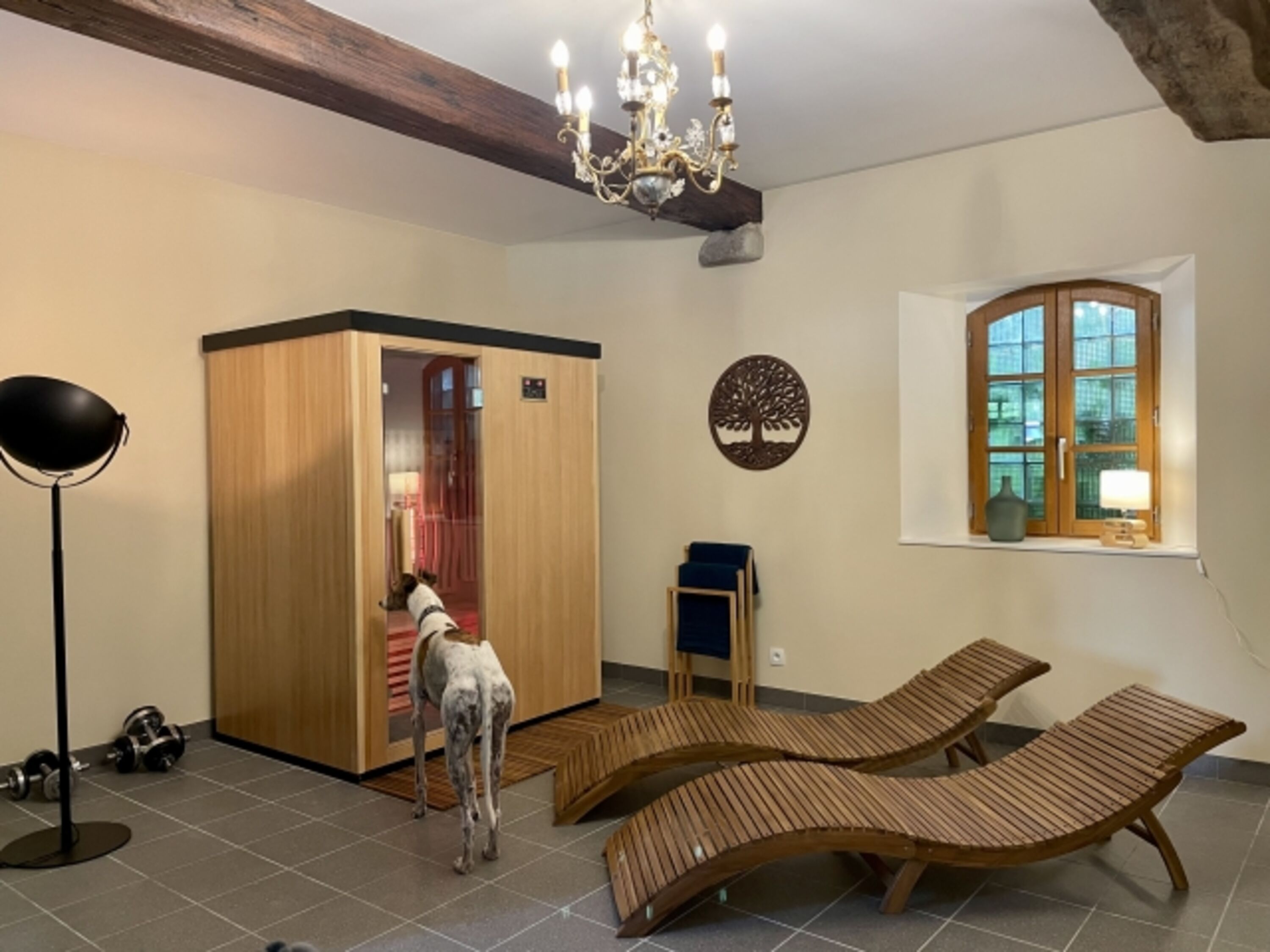 Infrarotsauna