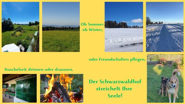 Umgebung und Garten zu allen Jahreszeiten hinreissend