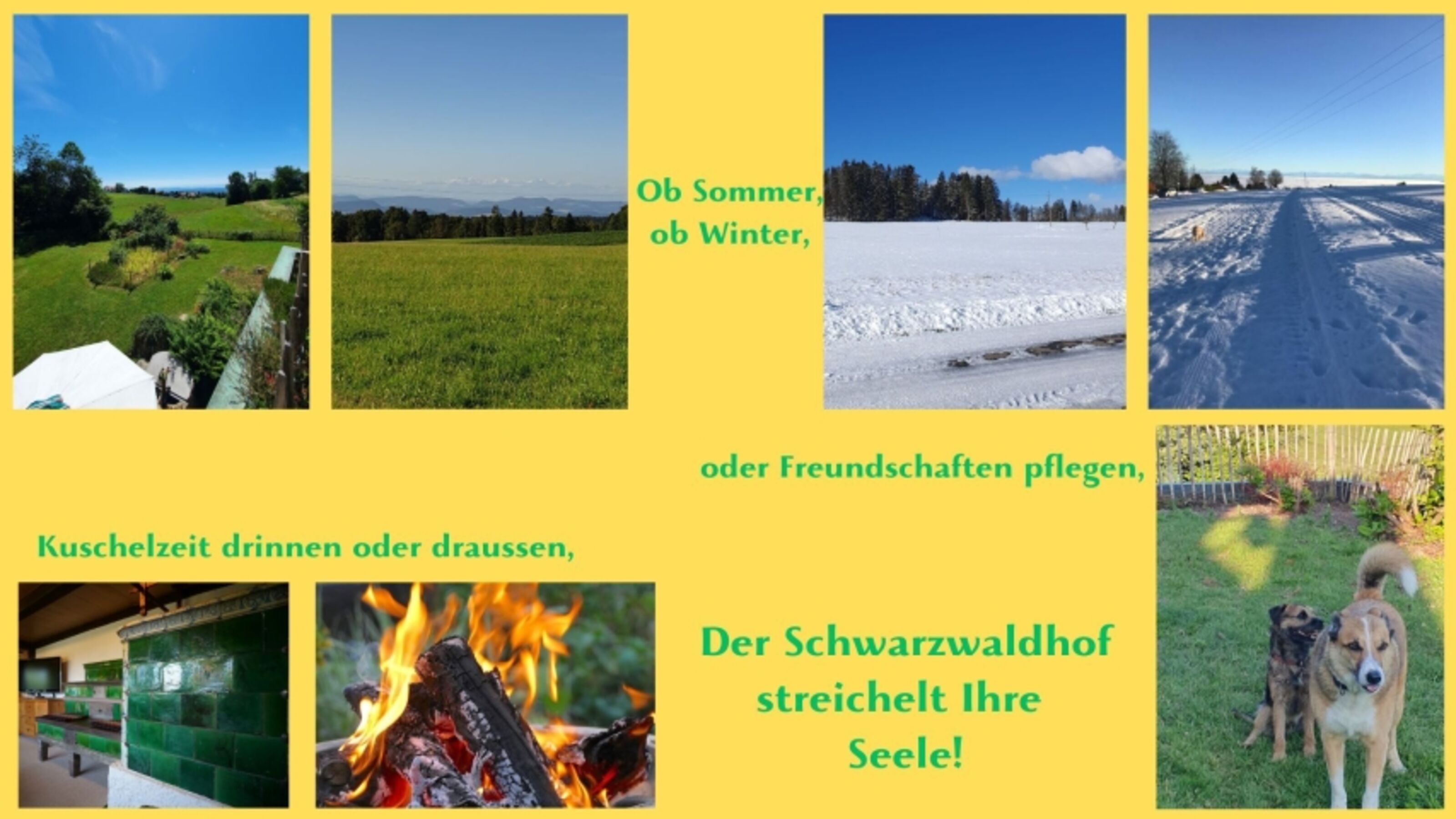 Umgebung und Garten zu allen Jahreszeiten hinreissend