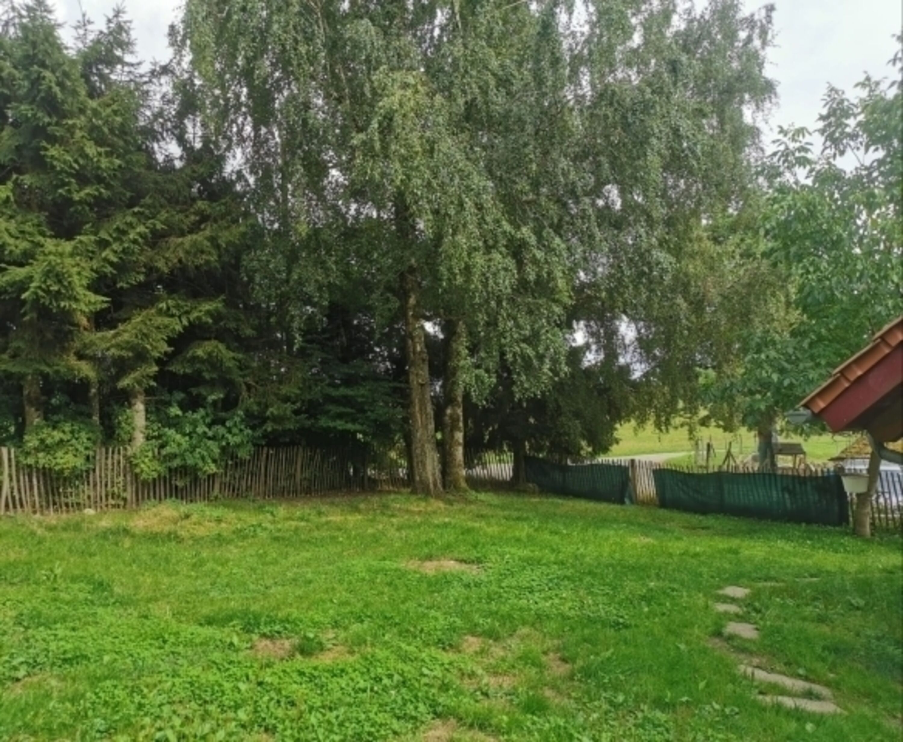 Bild 17