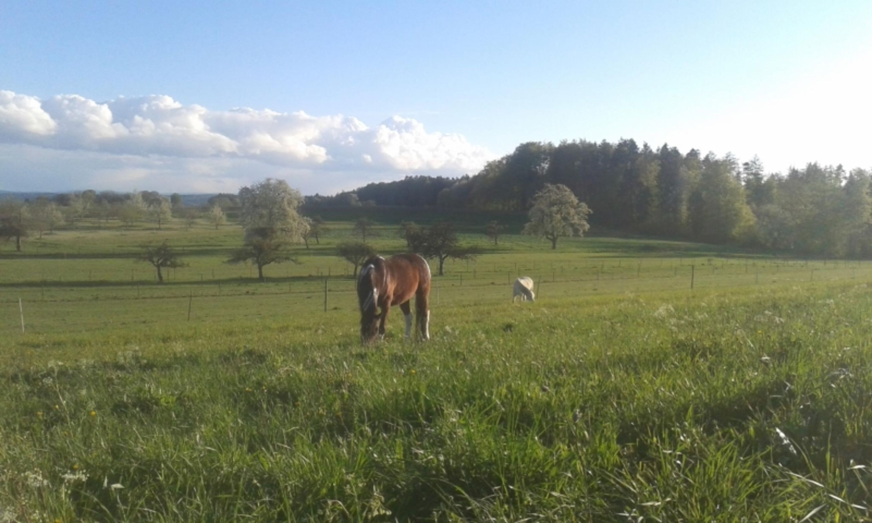 Bild 22