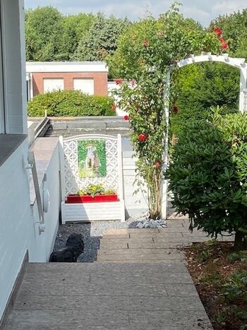 Freundlicher Empfang