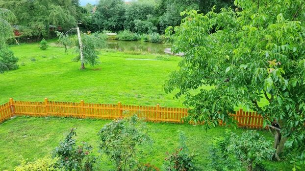 Blick in den grünen Garten