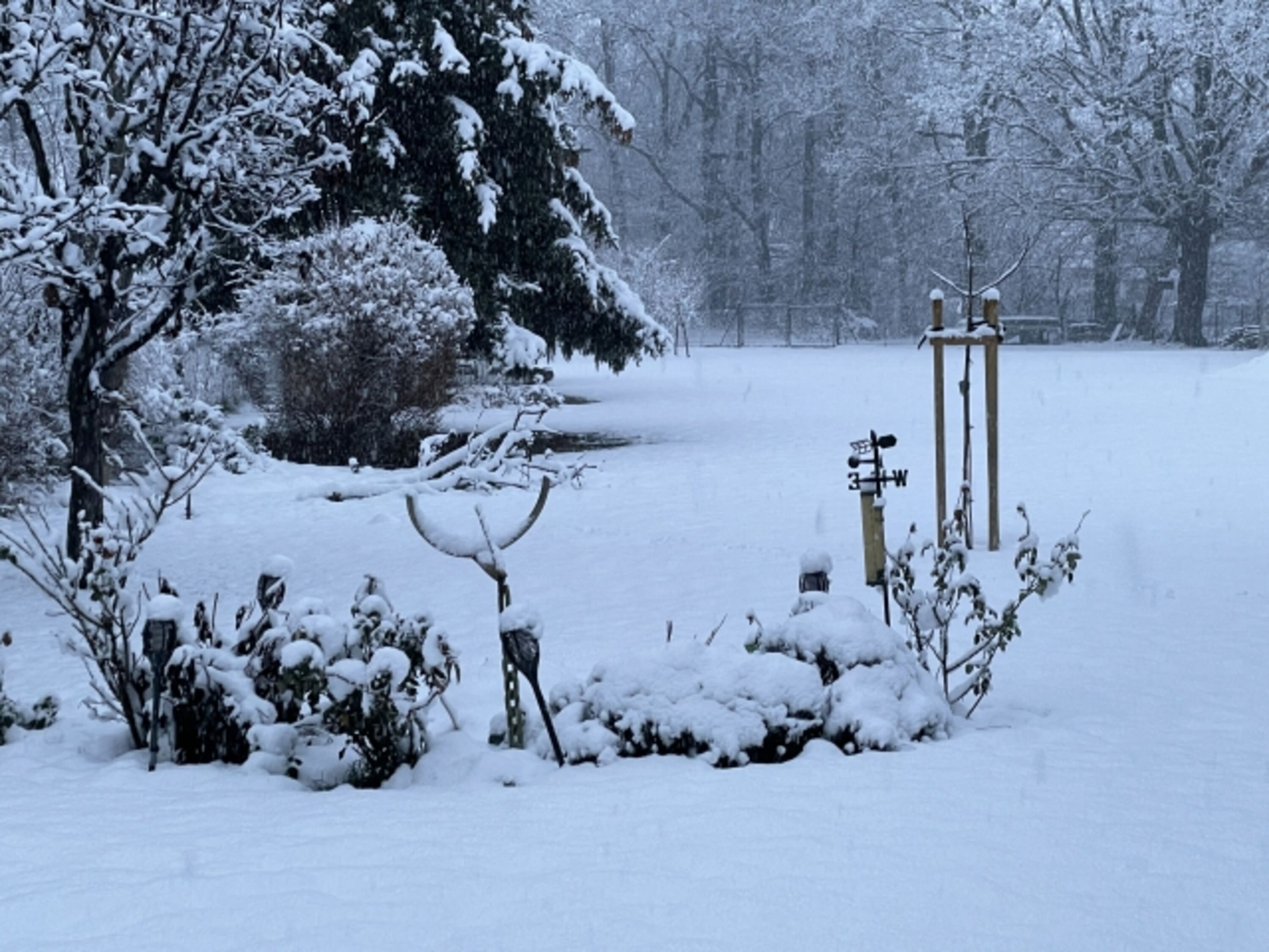 Blick in den Garten im Winter