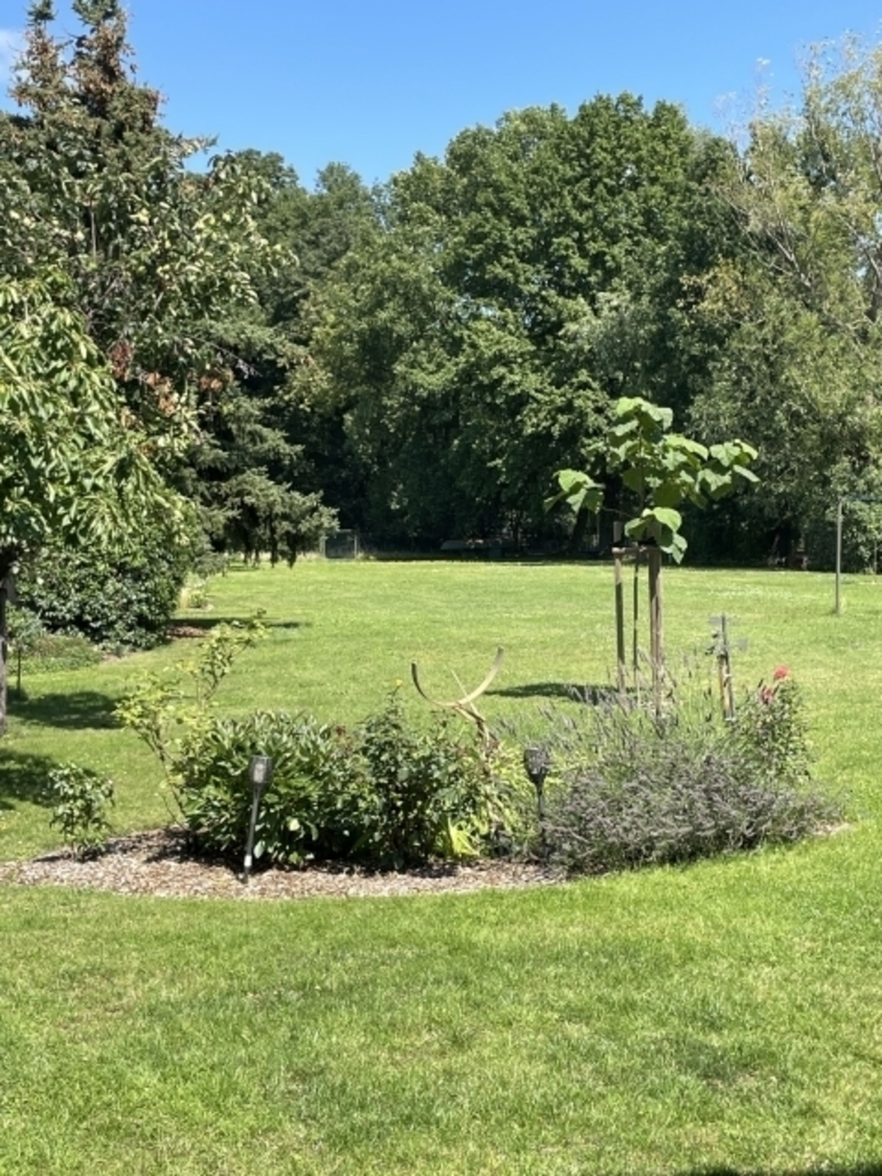 Blick in den Garten
