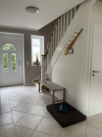 Hier hat der Hund alles im Blick 