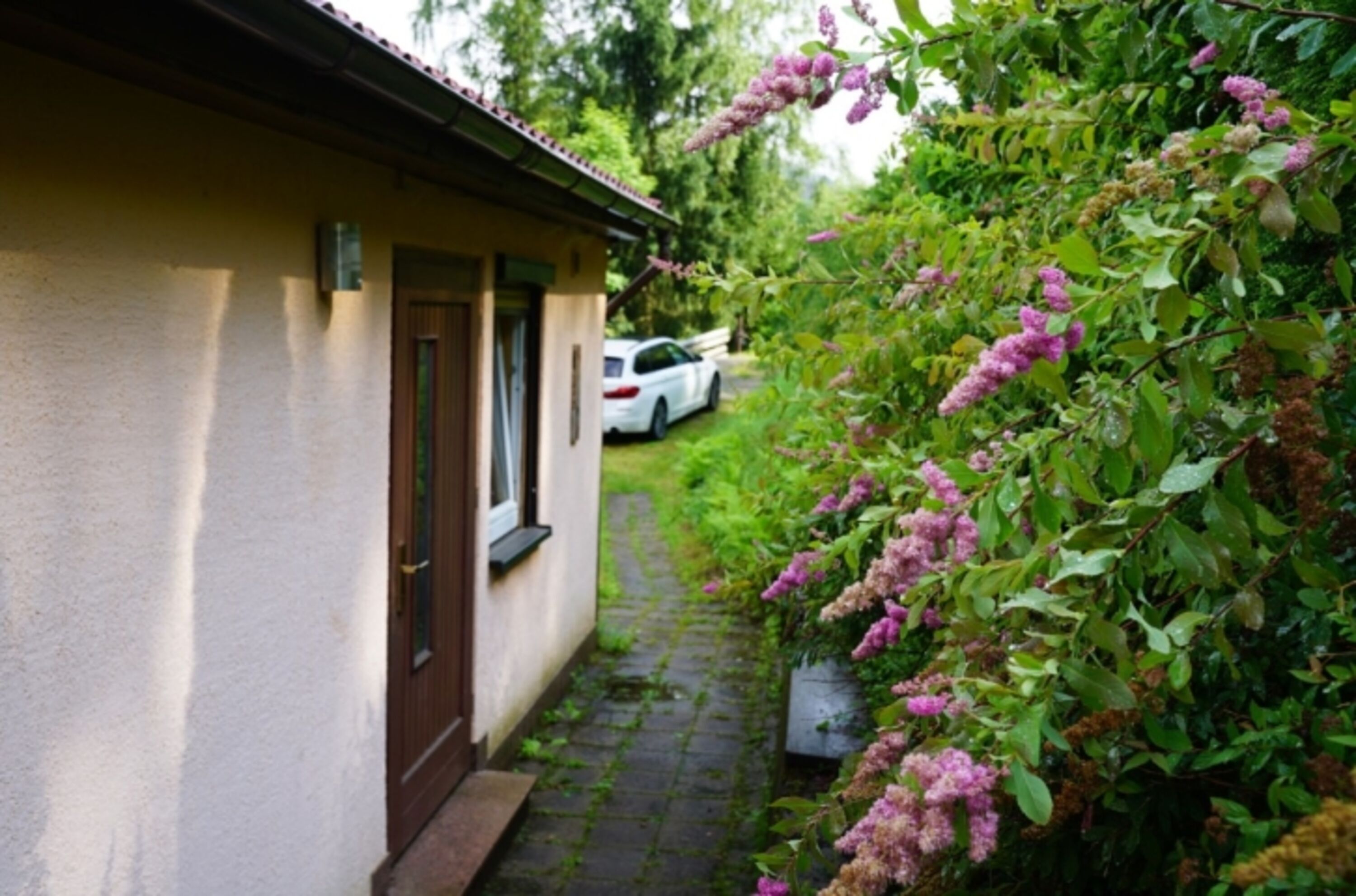 Bild 16