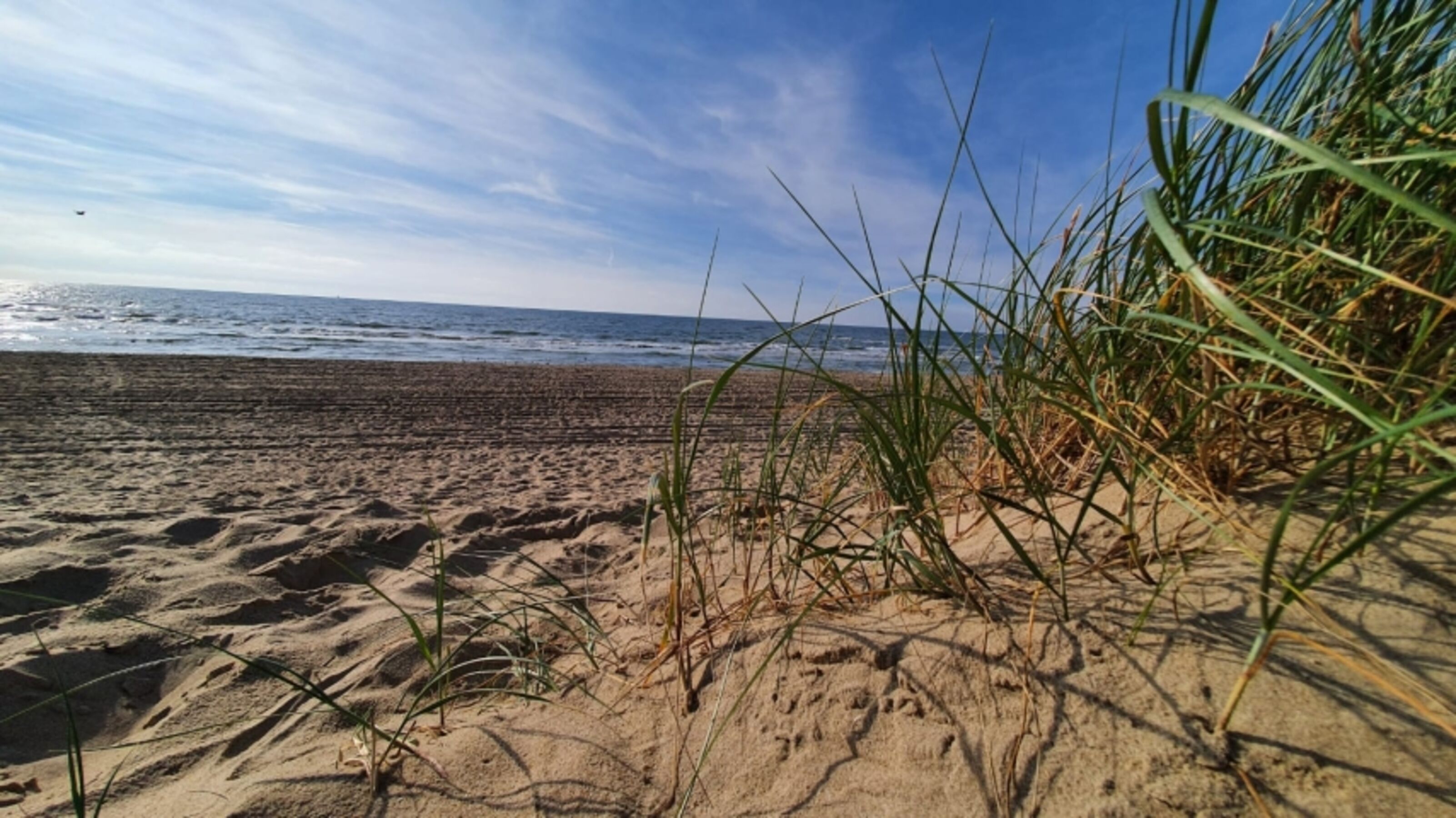 Strandliebe