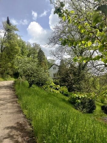 Teil der Auffahrt zum Haus