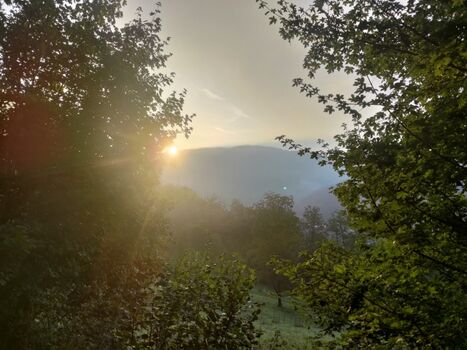Herbstsonne auf der Wiese