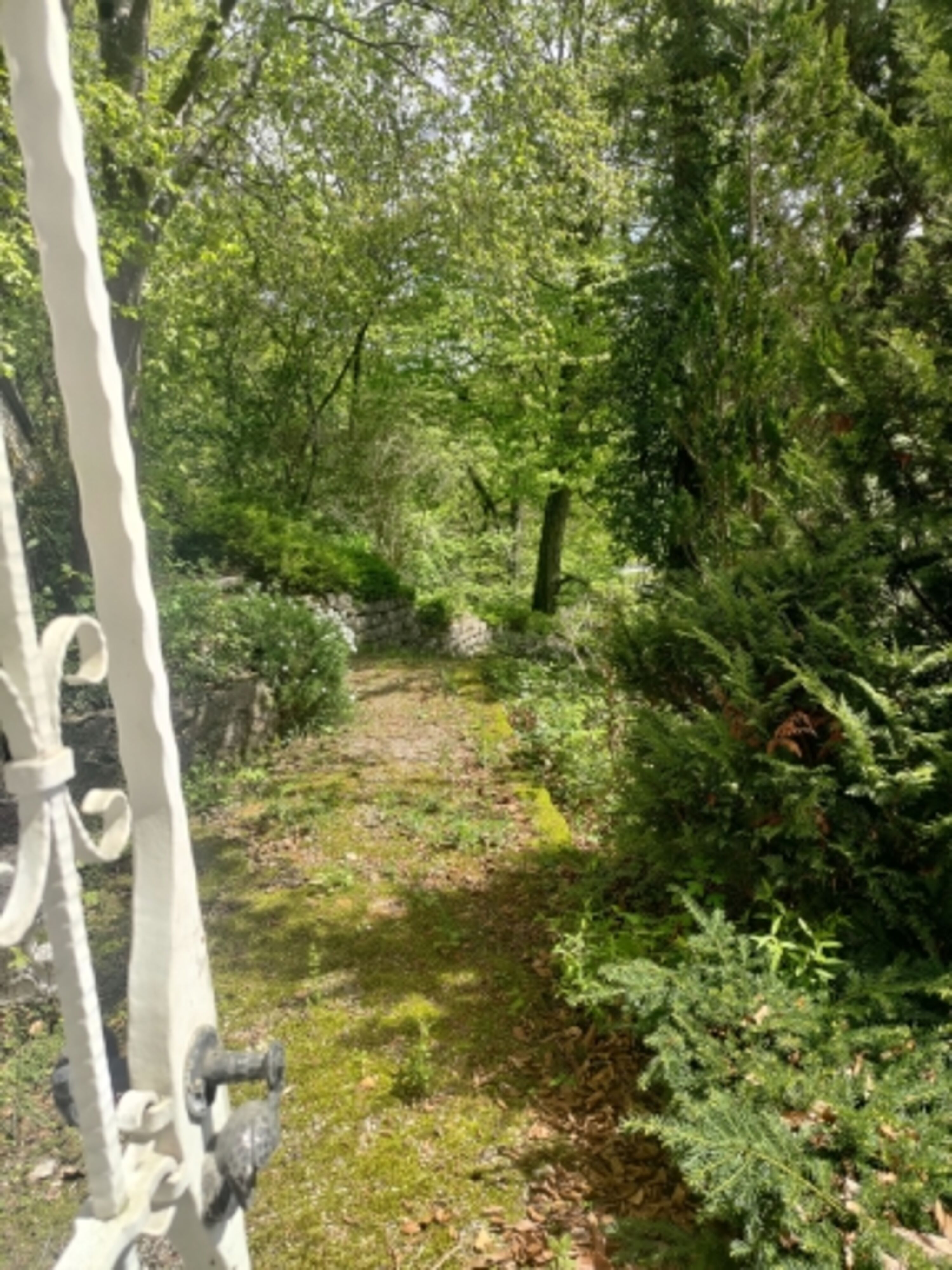 Ausgang zum Garten