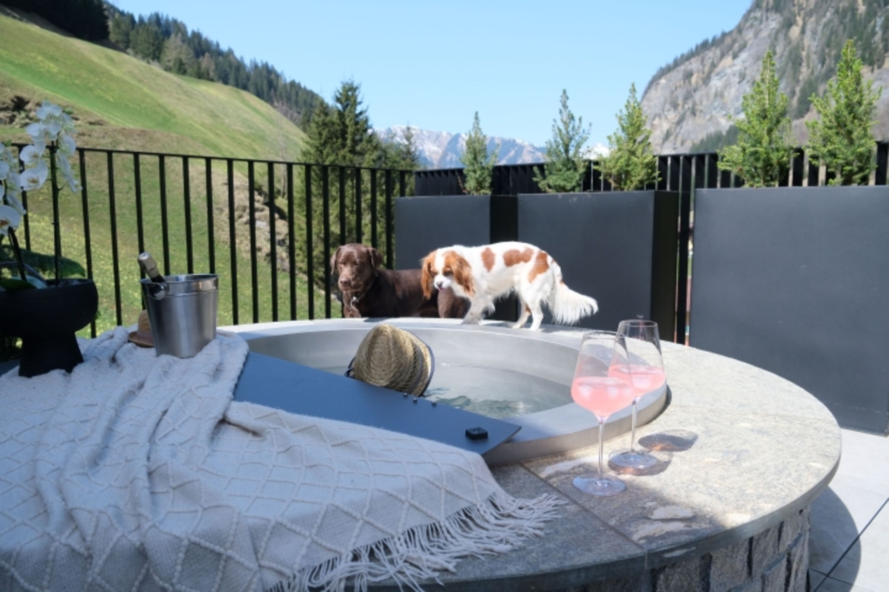 Hot Pot mit Hund