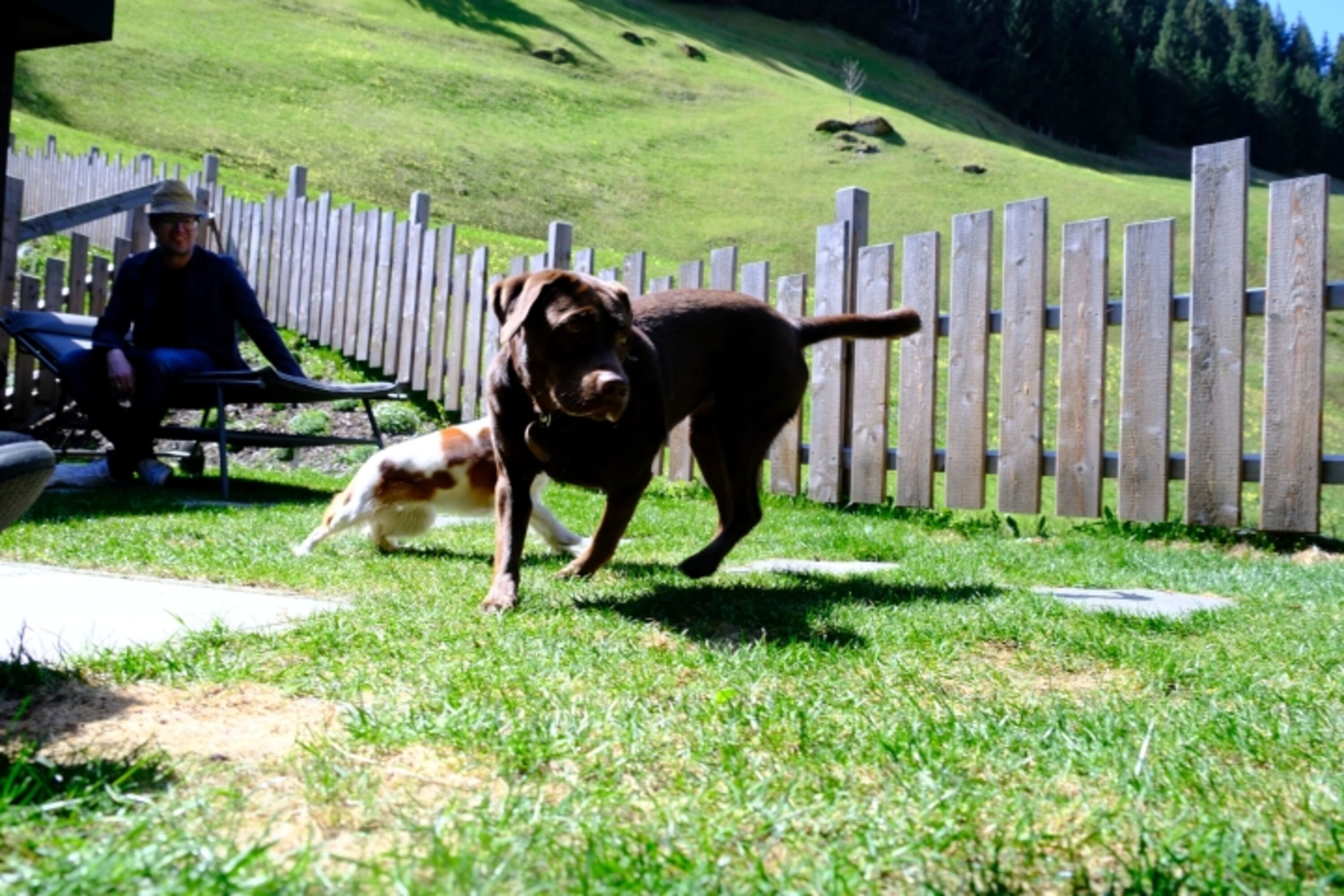 Großer Garten